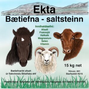 Saltsteinn