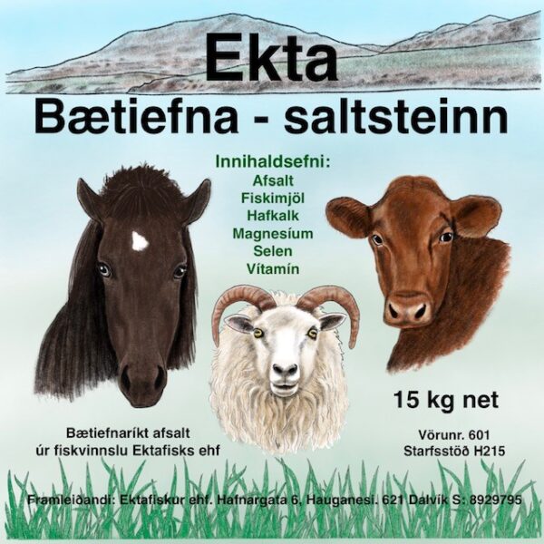 Saltsteinn